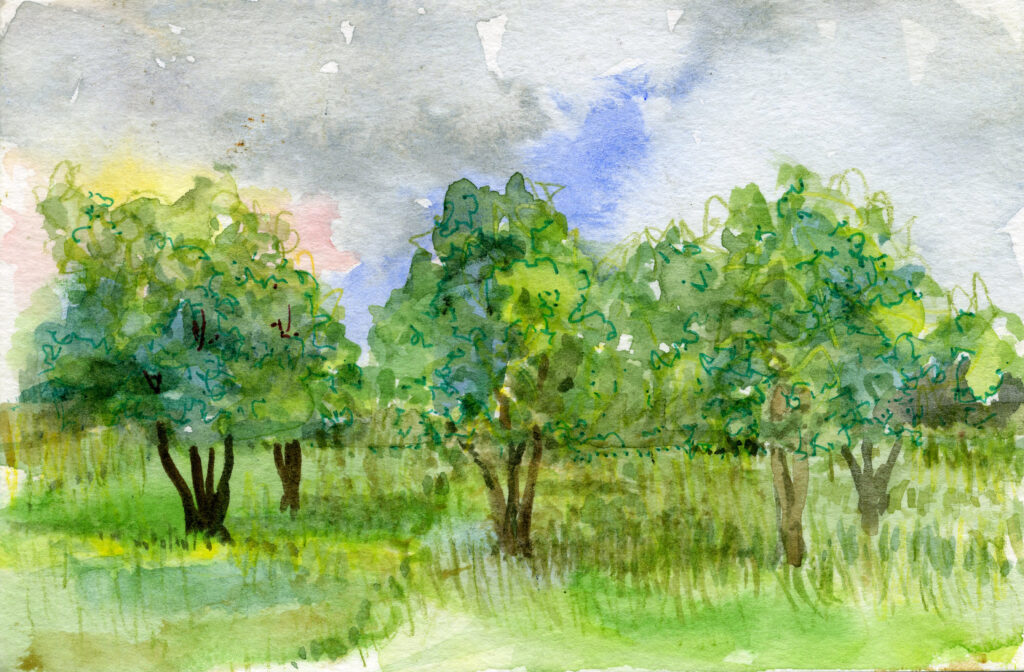 Landscape