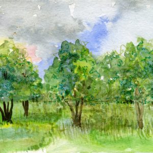 Landscape