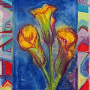 Callas Lilies