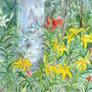 Lilies and Tulip Tree