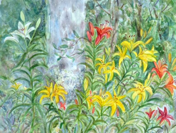 Lilies and Tulip Tree