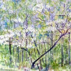 Spring Dogwood