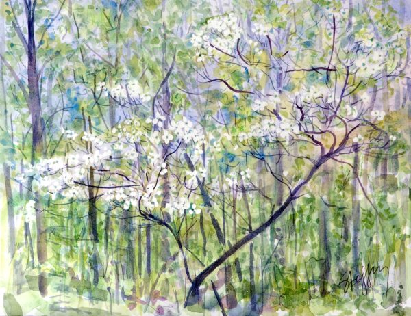 Spring Dogwood