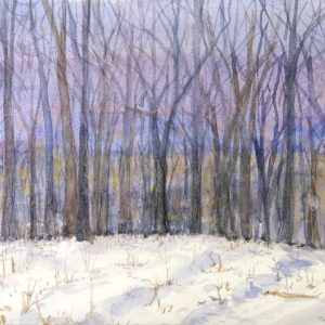 Winter Shadows