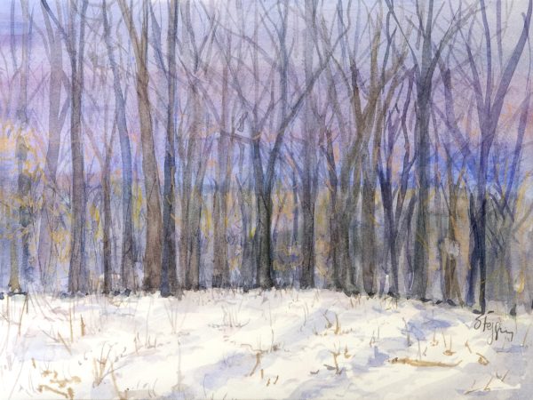 Winter Shadows