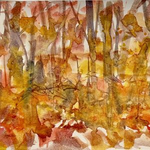 Fresh Fall