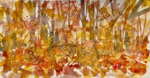 Fresh Fall